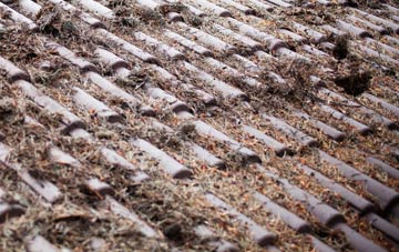 Browland roof cleaning companies